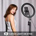 PULUZ PKT3035 10.2" ringlys LED Fill Light + 1.1m stativ til Vlogging Live Broadcast