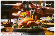 Adler AD 6304 Konvektionsovn 12L