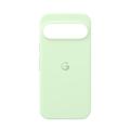 Google Pixel 9/9 Pro Cover GA05655-WW - Vintergrøn