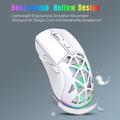HXSJ T26 RGB Baggrundsbelyst trådløs mus / Bluetooth-mus 4800 DPI - Hvid