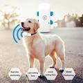 Mini 4G GPS-tracker til kæledyr - IP67 vandtæt smart halsbånd til hunde og katte