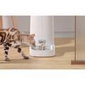 Rojeco WiFi automatisk maddispenser til katte og hunde - 4L